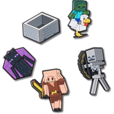 Minecraft 5 Pack