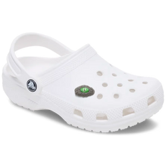 Crocodile Eye