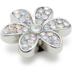 Silver Mnchrm Daisy 1