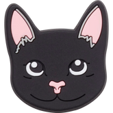 Black Cat