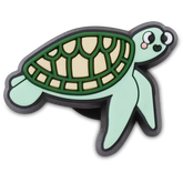 Tiny Sea Turtle