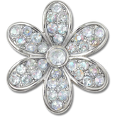 Silver Mnchrm Daisy 1