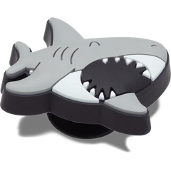 Lil Shark