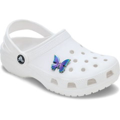 Iridescent Butterfly