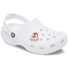 Disney Chip N Dale Smile