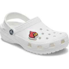 University of Louisville