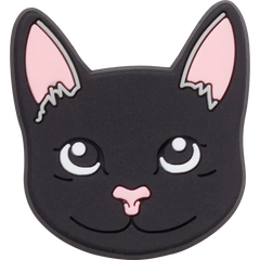 Black Cat