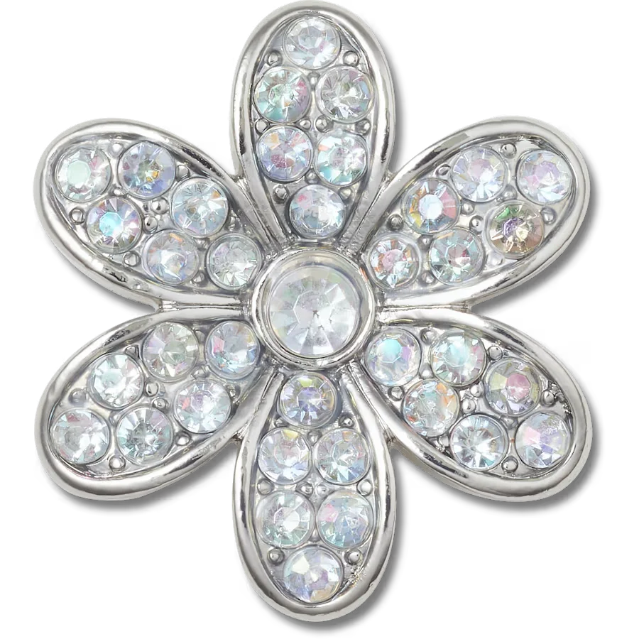 Silver Mnchrm Daisy 1