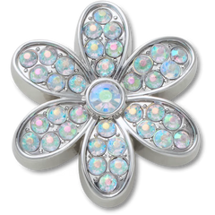 Silver Mnchrm Daisy 1