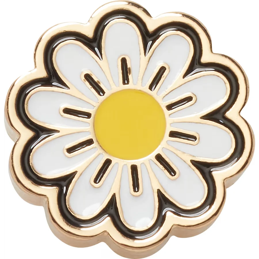 Elevated Daisy